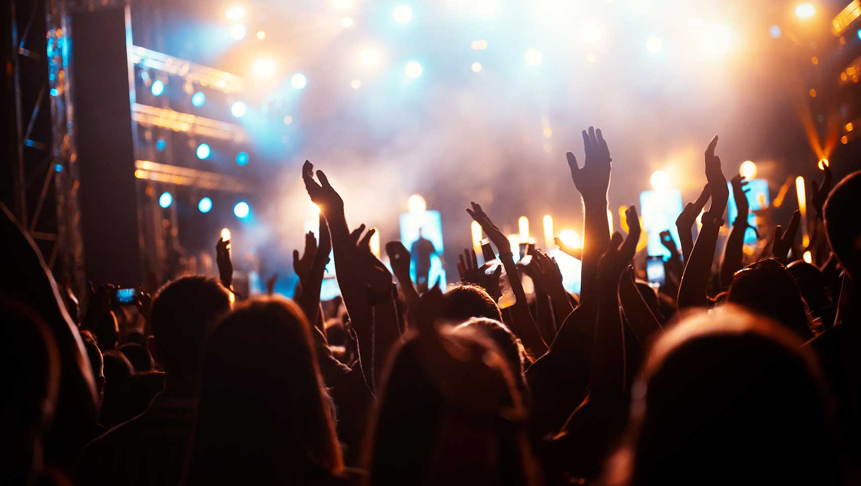 Concert Crowd