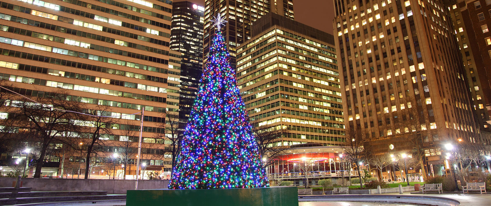 Large Christmas tree lit up at night in downtown Philadelphia